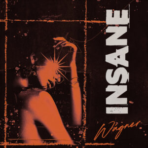 insane_cover